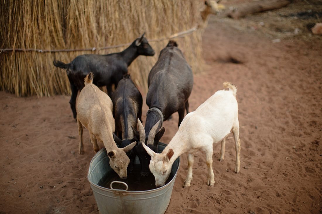 Everyday life in Chief Mukuni Village, Livingstone, Zambia