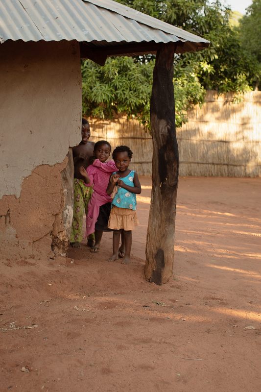 Wide view of Chief Mukuni Village and its surrounding homes