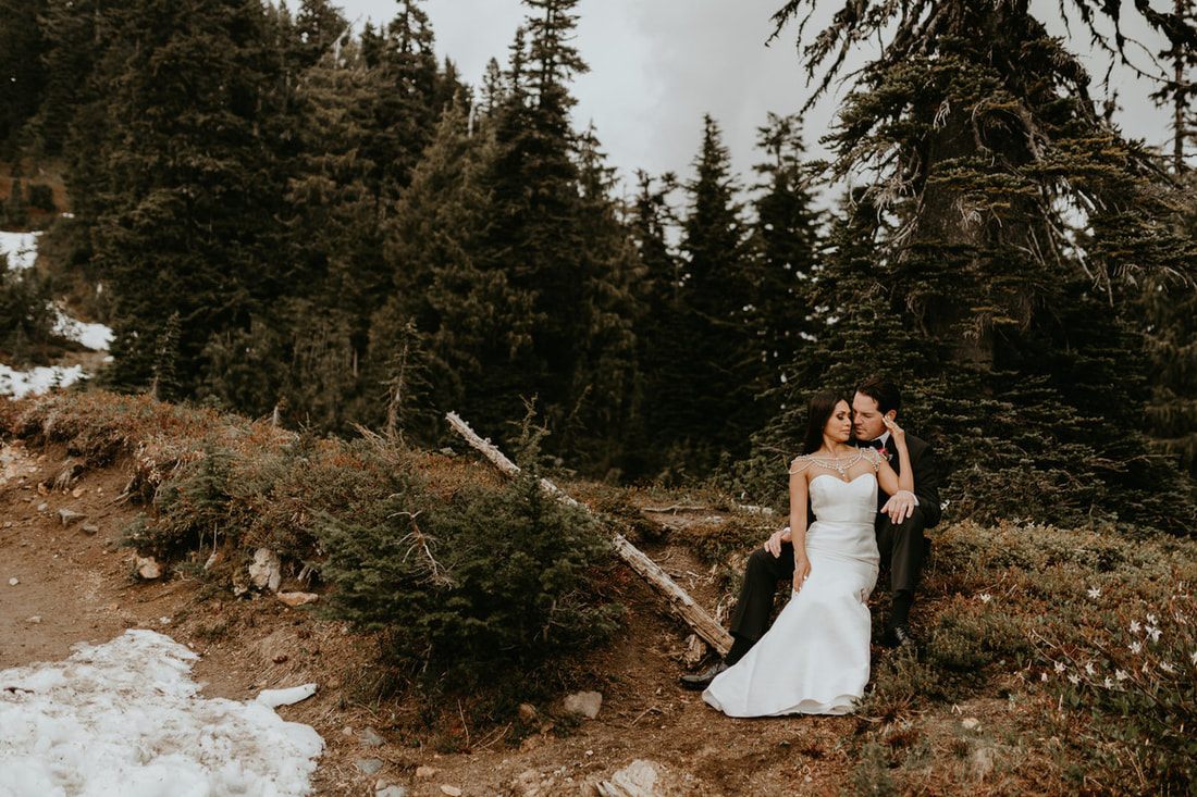 Bride's ivory gown catching the light against dark trees at Mt. Rainier.