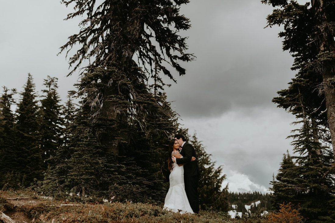 Wide shot of Mt. Rainier towering over the vow renewal ceremony site.