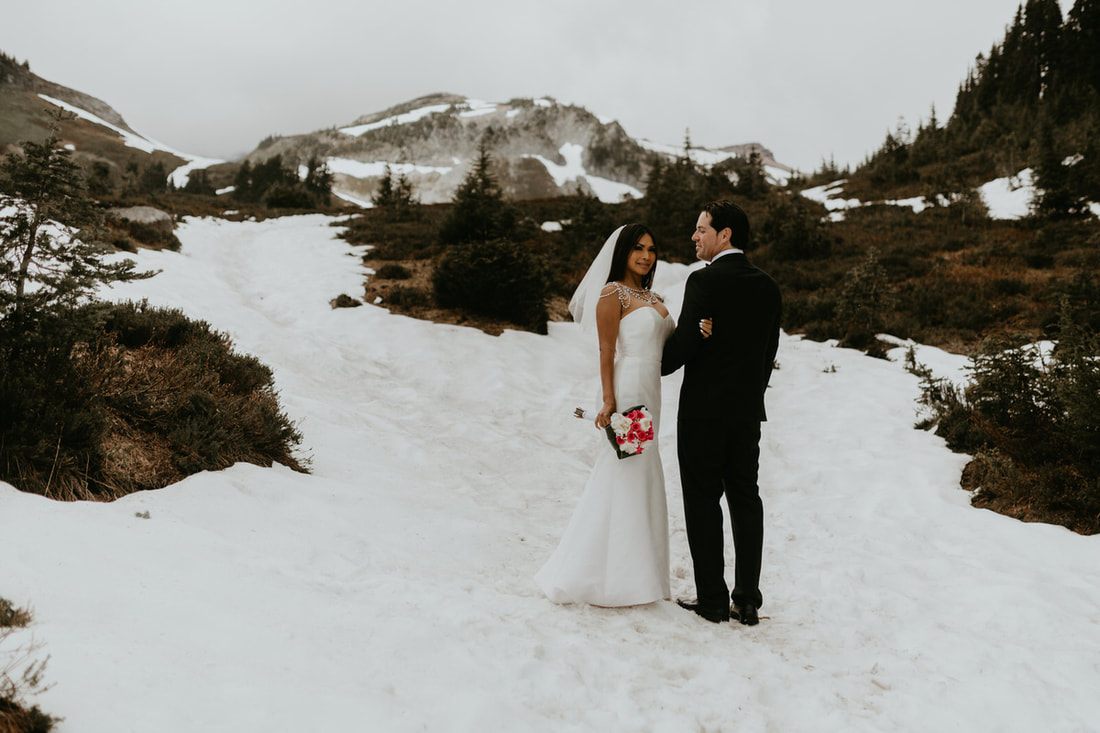 Bride's ivory gown catching the light against dark trees at Mt. Rainier.