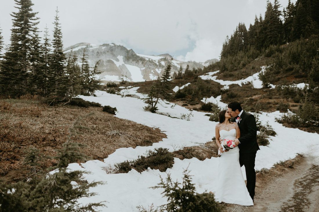 Bride and groom walking hand in hand through the old-growth forest trail.