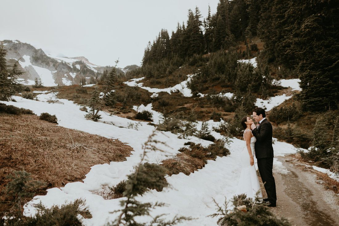 The Navarro family gathered together in the old-growth forest near Mt. Rainier.