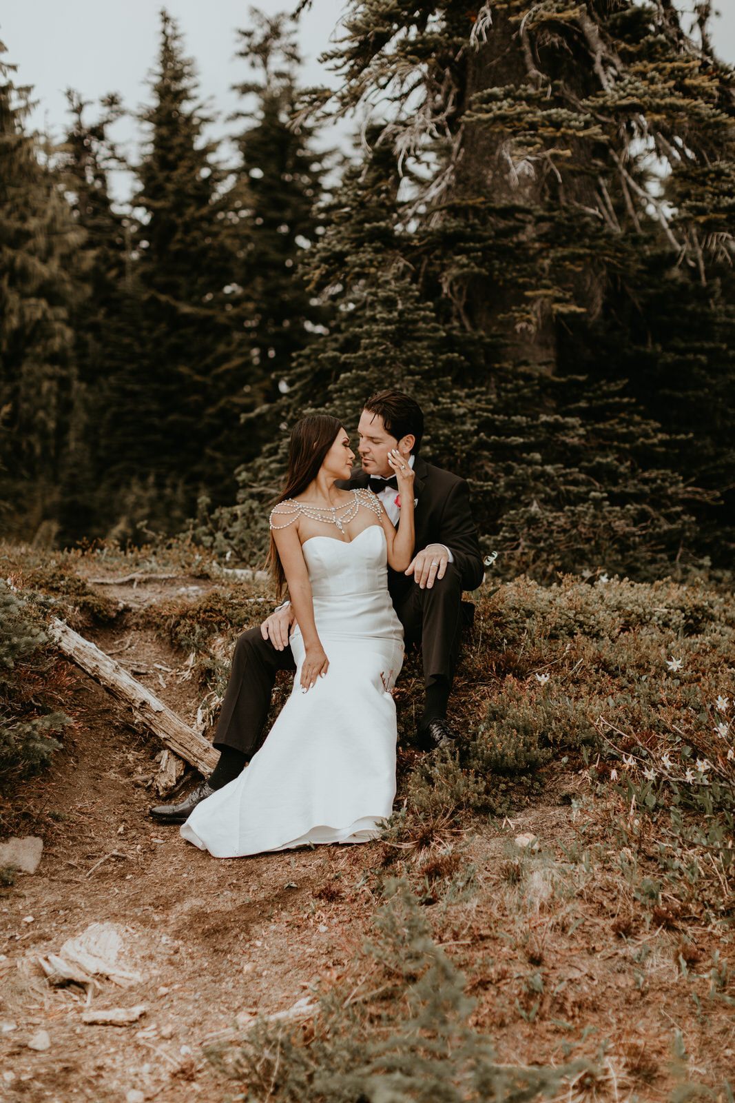 Golden light filtering through the trees during the Navarro family's mountain celebration.