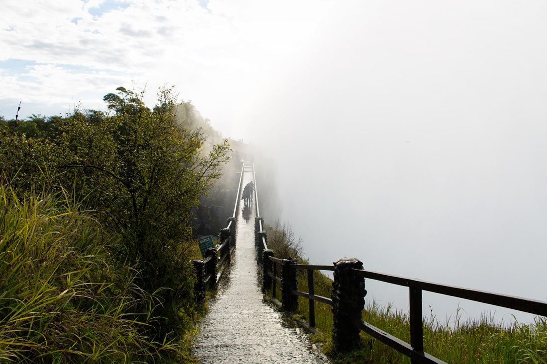 Victoria Falls viewed from the gorge trail