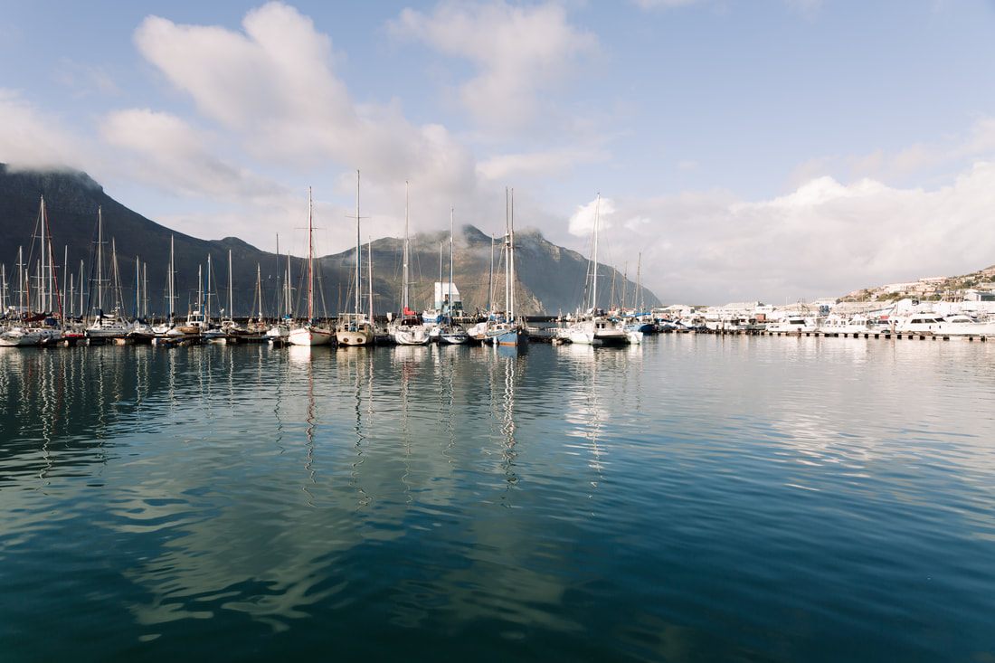 Photo of a boat cruising toward a rocky seal colony island in Cape Town, South Africa