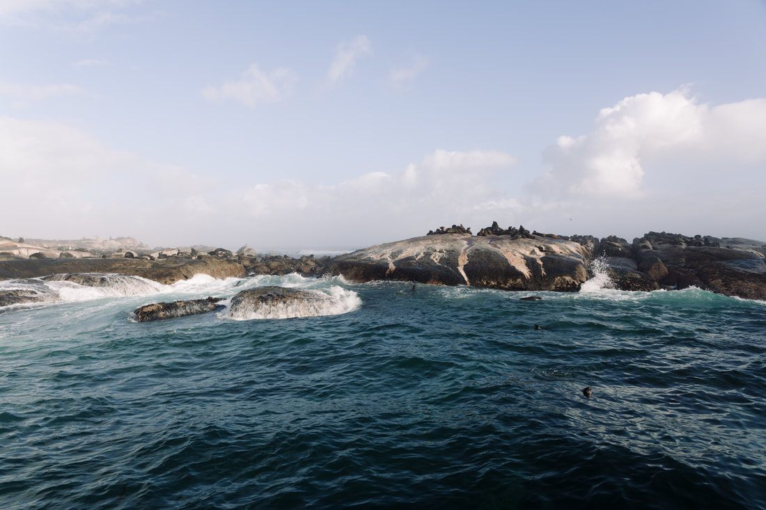 Photo of the dramatic cliffs of the Cape of Good Hope in Cape Town, South Africa