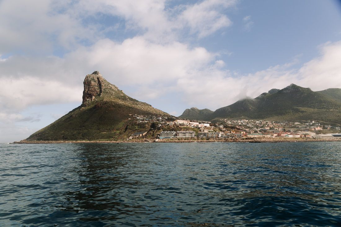 Photo of penguins gathered on a sandy beach on the Cape Peninsula, South Africa