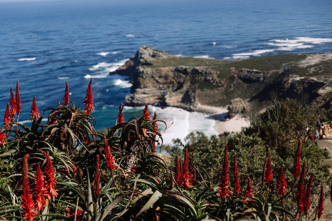 Photo of a panoramic view of Table Mountain over the city in Cape Town, South Africa