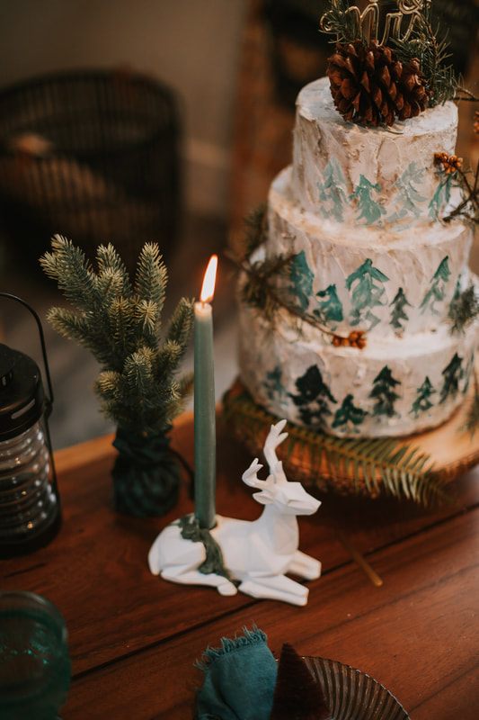 Portrait of the newlyweds among the evergreens near Index, Washington
