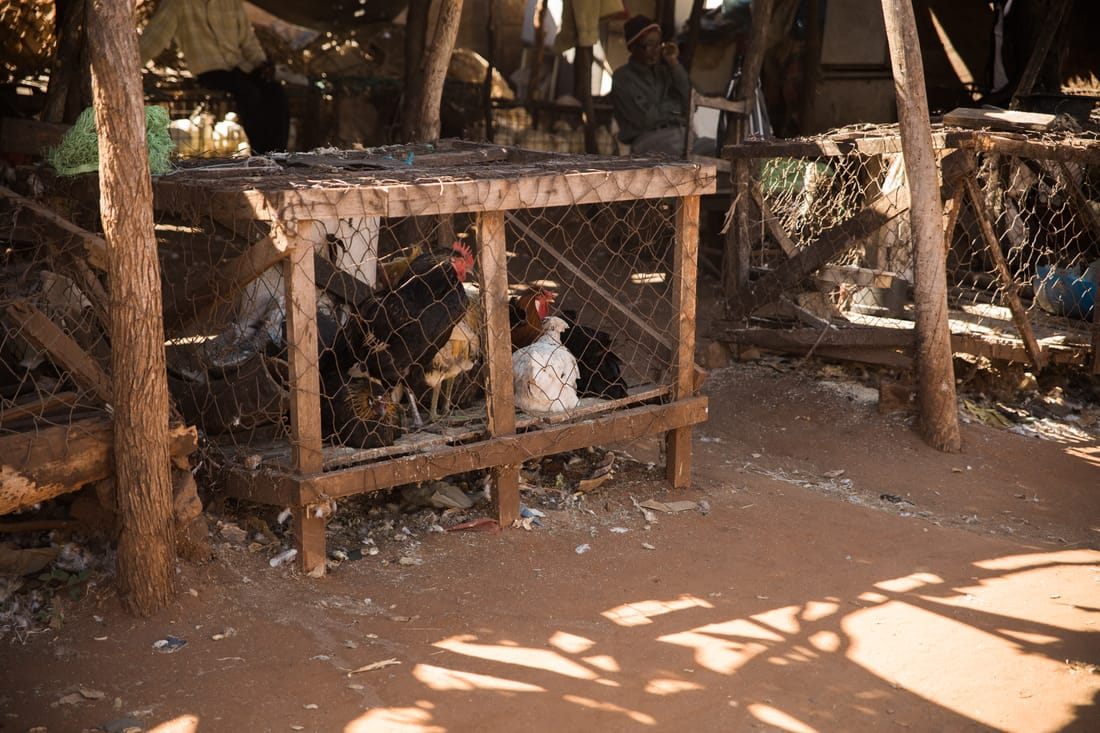 Everyday commerce at an informal market in Livingstone, Zambia