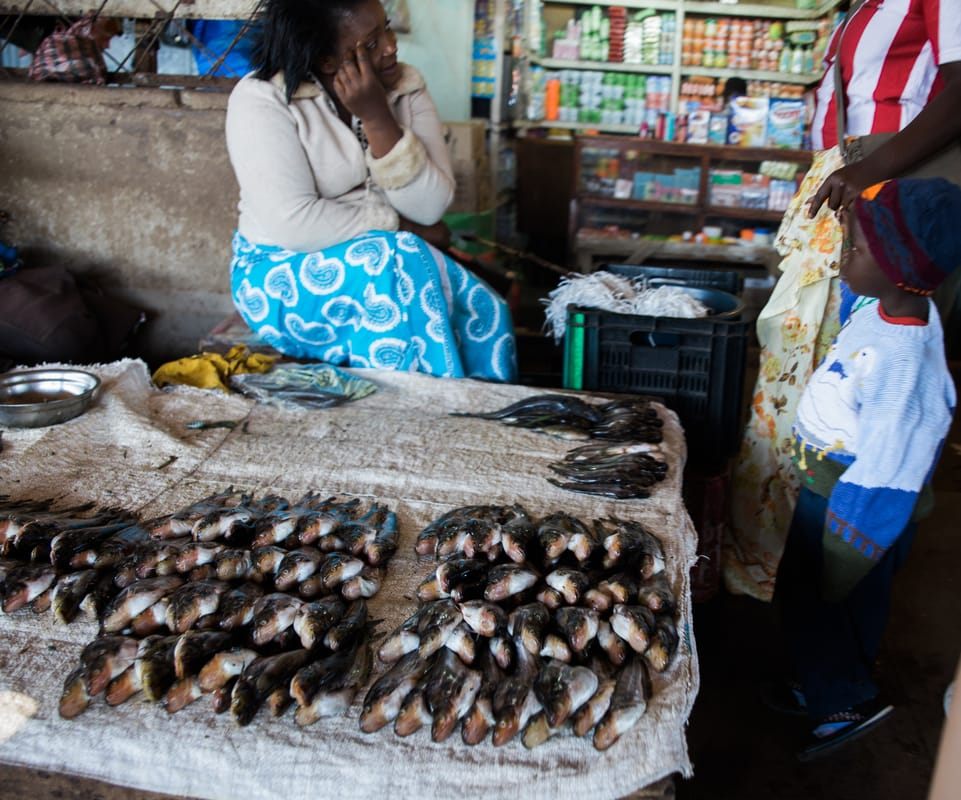 Stalls of fresh produce at a local market in Livingstone, Zambia