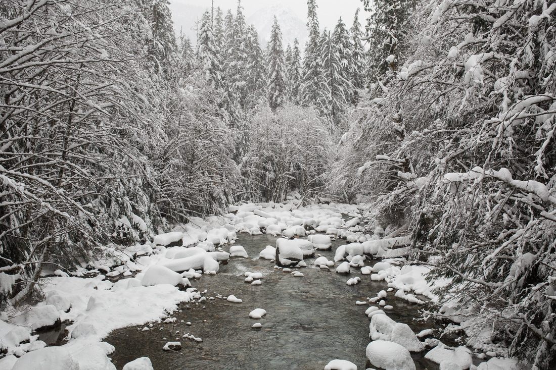 Snow-covered trail on the hike to Goldmeyer Hot Springs, Washington