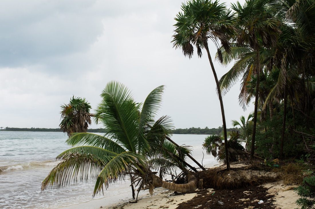 Empty, untouched beach along the drive toward Punta Allen