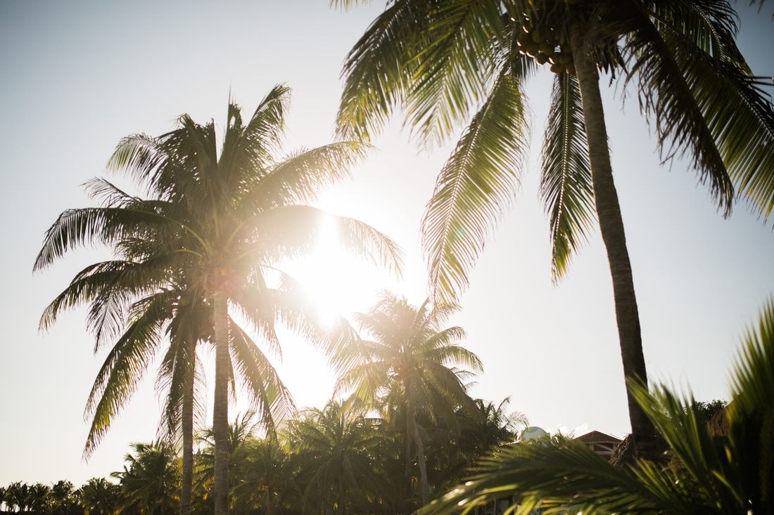Mike and Kami's destination wedding in Riviera Maya, Mexico