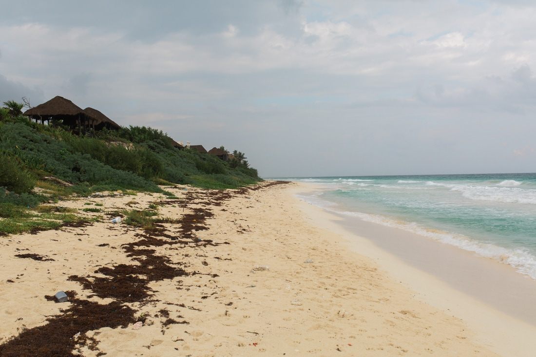 Wedding celebration along the Riviera Maya coastline
