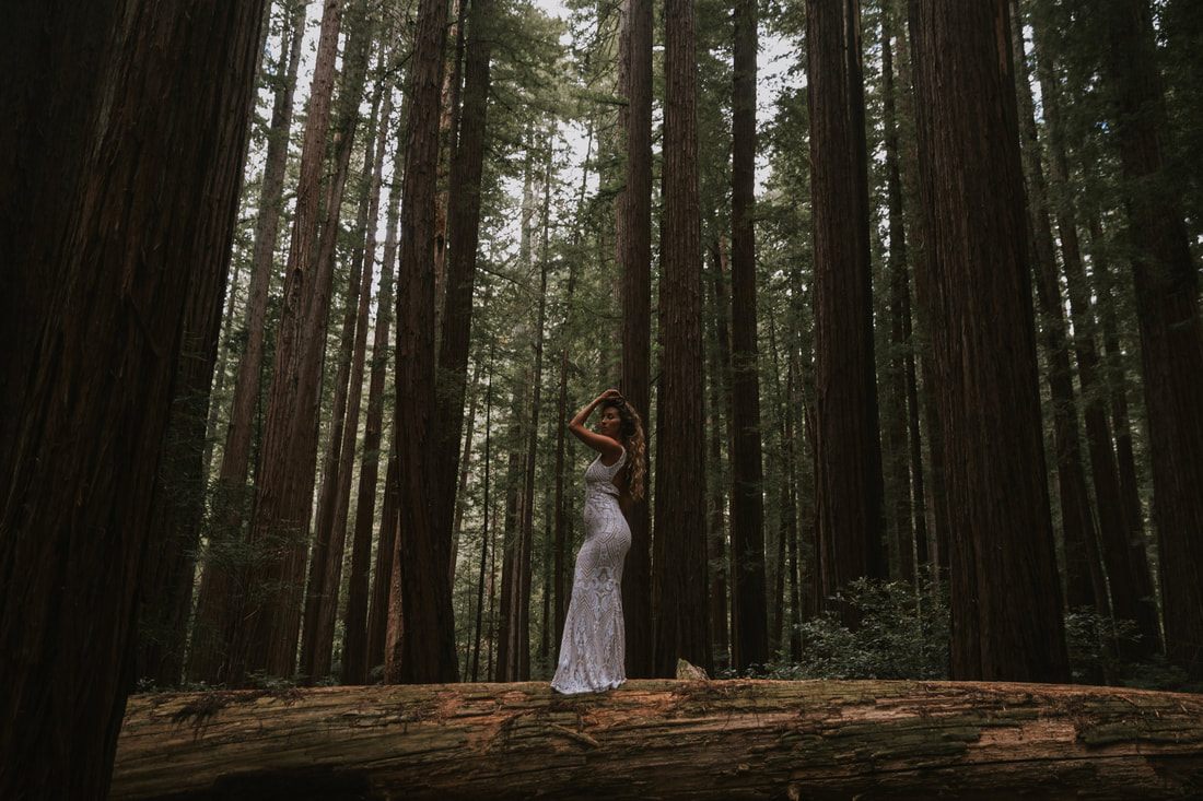 Bride in a flowing gown standing among towering redwood trees in California
