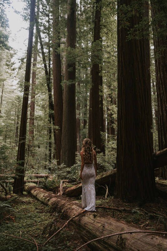 Close-up bridal portrait with soft light filtering through old-growth redwoods