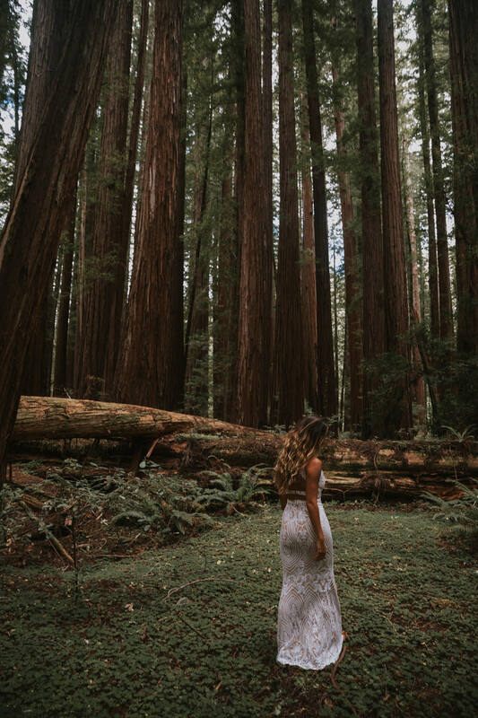 Bridal gown detail shot against the bark of a massive redwood tree