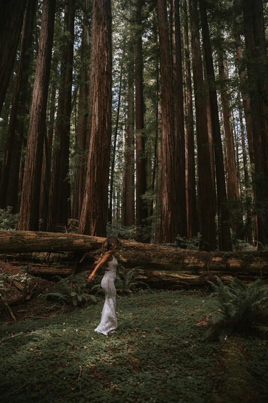 Bride walking barefoot through ferns in the California redwoods