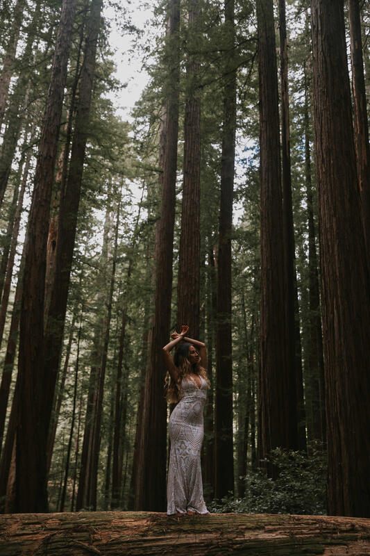 Quiet moment of a bride resting against an old-growth redwood trunk