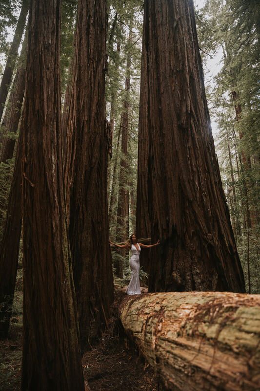 Bridal gown train trailing across the forest floor in Redwood National Forest