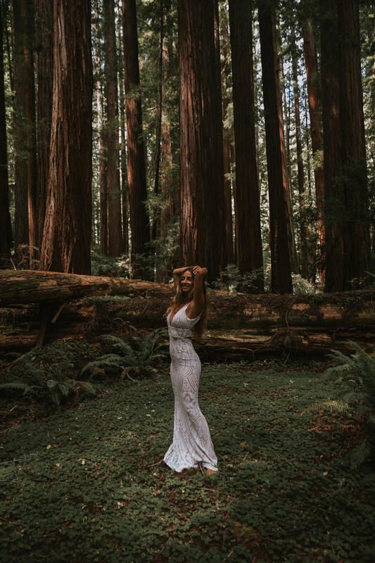 Bride surrounded by ferns and quiet giants deep in the redwood forest