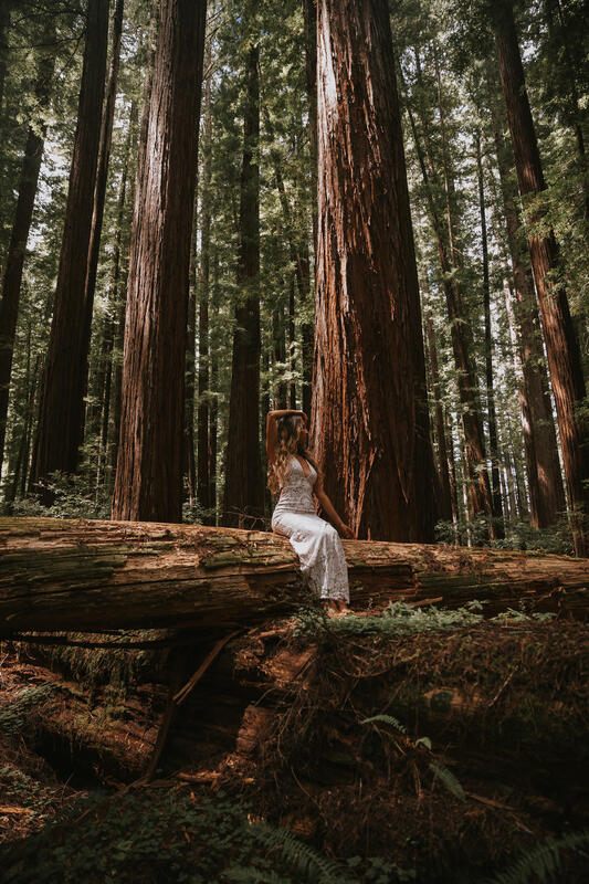 Bride smiling softly among the quiet giants of Redwood National Forest