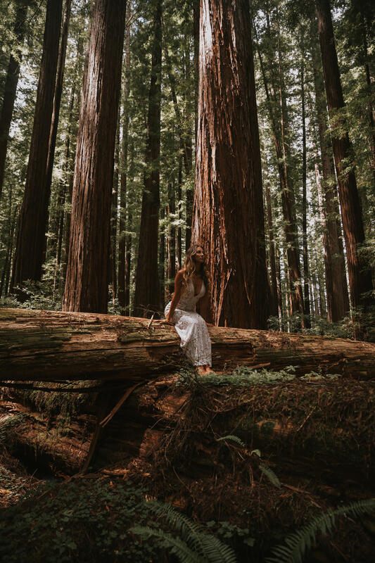 Bride walking away down a misty redwood forest trail