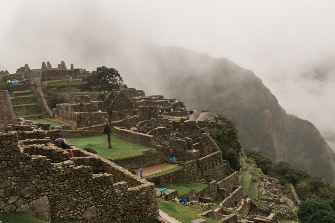 Llamas grazing among the ruins at Machu Picchu