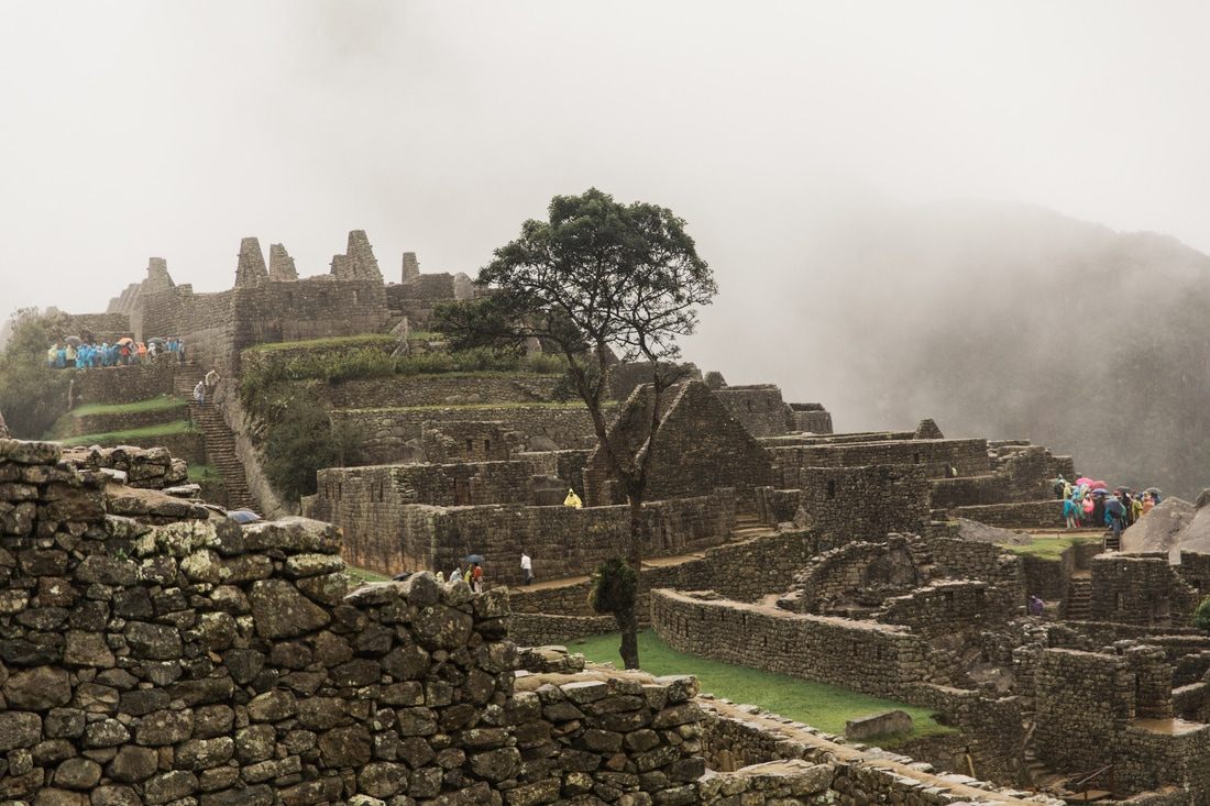 Stone stairways carved into the Machu Picchu mountainside