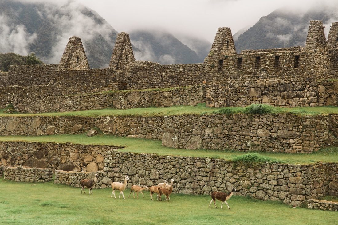 Fog rolling over the ruins during a rainy-season visit to Machu Picchu