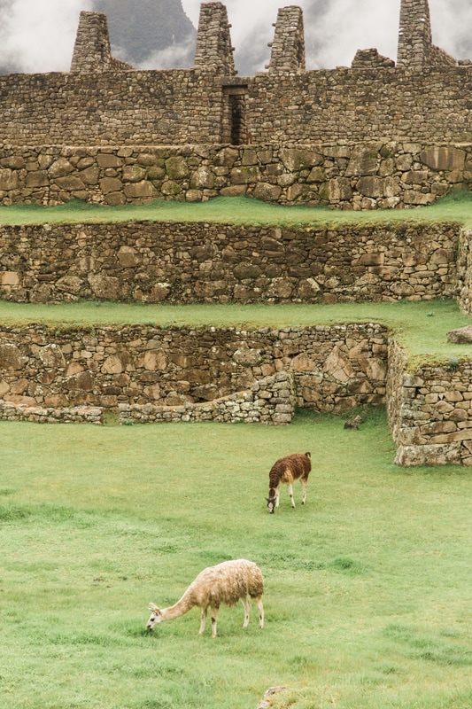 Ancient agricultural terraces used by the Inca at Machu Picchu