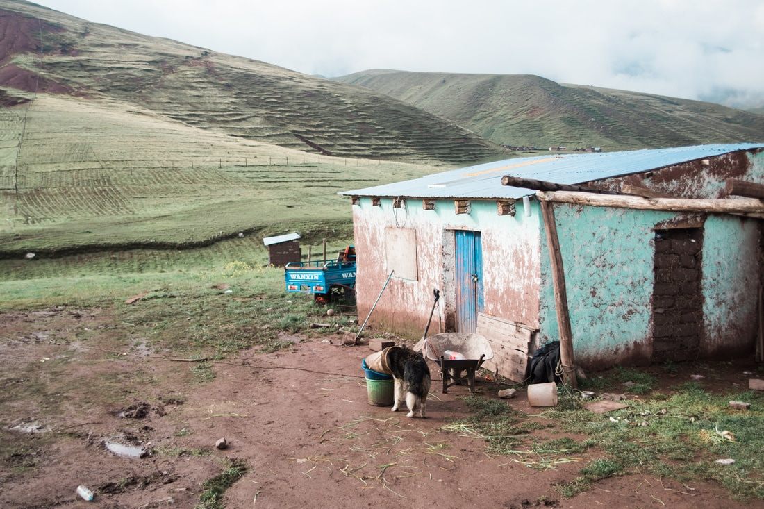 Andean village and grazing livestock along the trail to Vinicunca, Peru