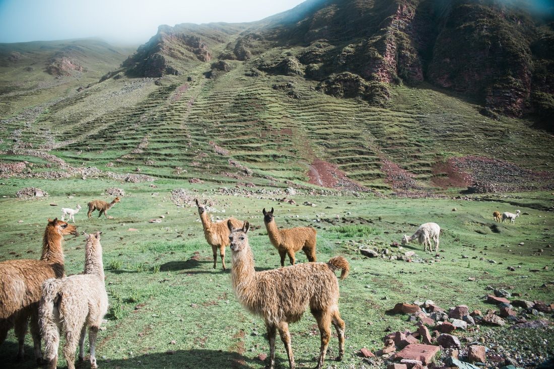 Panoramic view of the mineral-striped Rainbow Mountain range in Peru