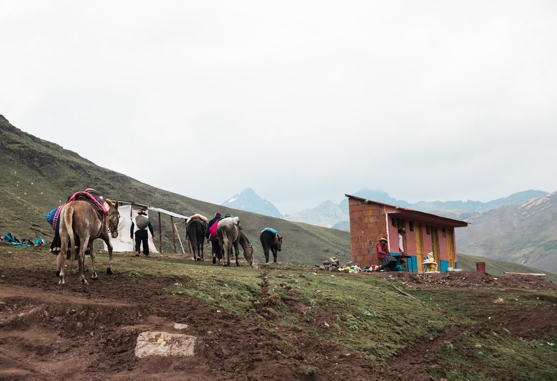 Andean village and grazing livestock along the trail to Vinicunca, Peru