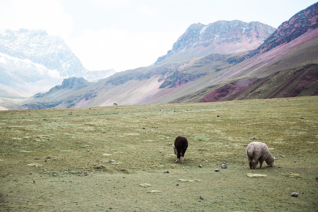 Colorful striped slopes of Rainbow Mountain (Vinicunca) in the Peruvian Andes