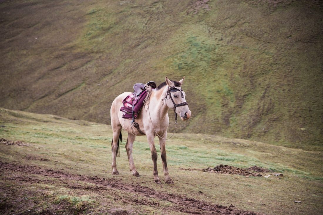 High-altitude Andean landscape near Cusco, Peru, along the Rainbow Mountain hike