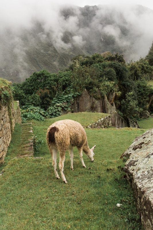 Ruins of Machu Picchu with the Urubamba River valley below