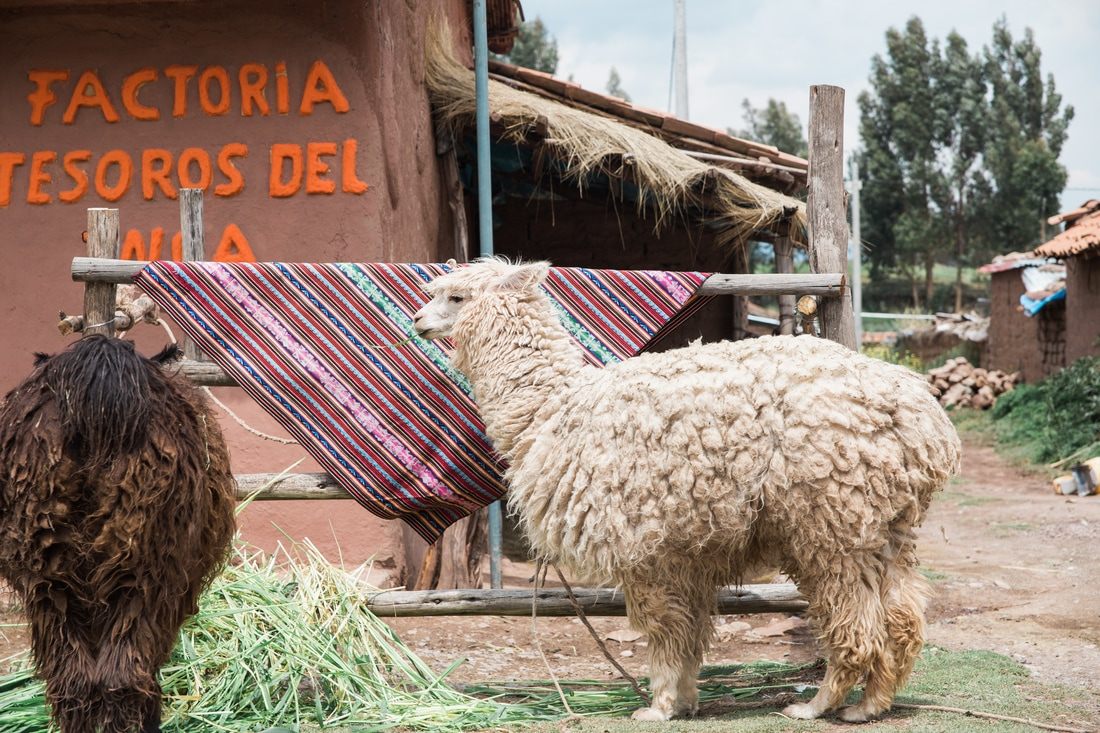 Photo of traditional Andean architecture along a city street in Cusco, Peru