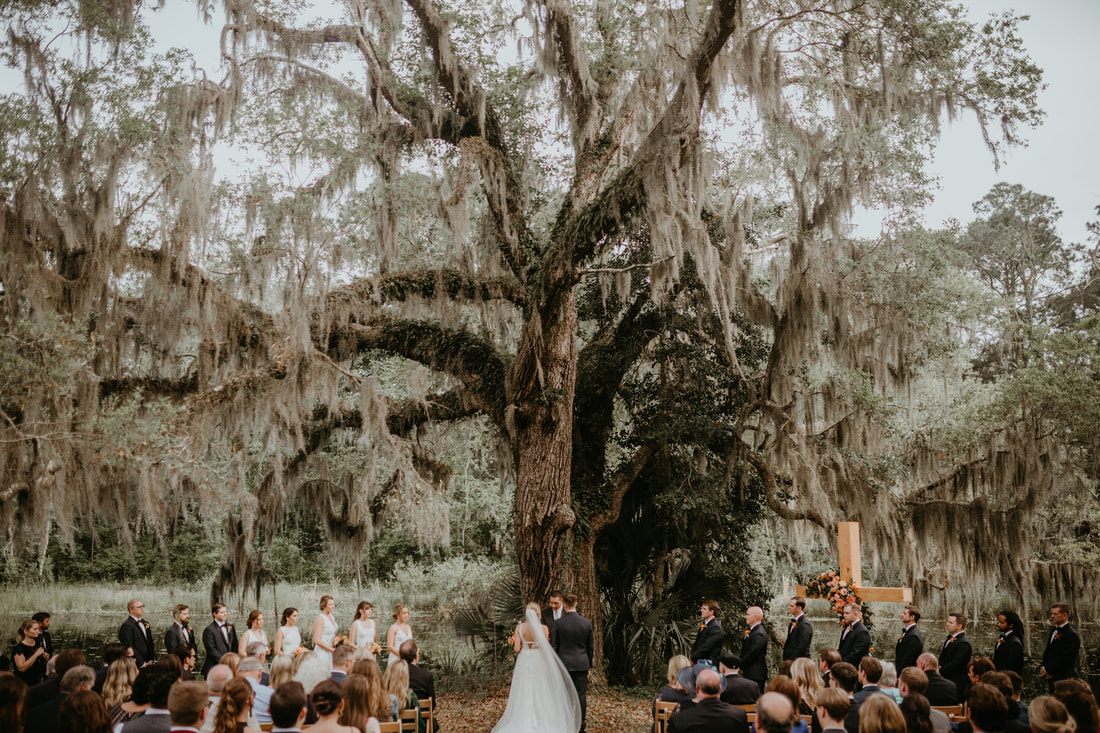 Alexis and Max laughing together beneath oak trees draped in Spanish moss