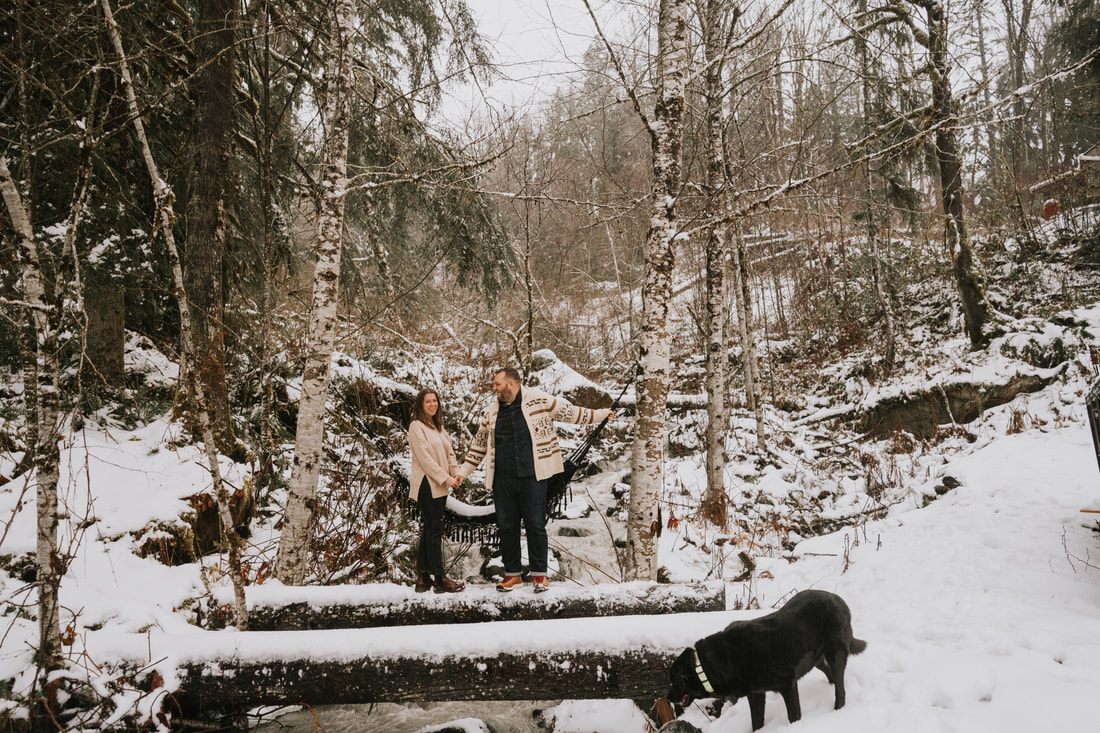 Portrait of the couple's two dogs playing in the snow at the cabin
