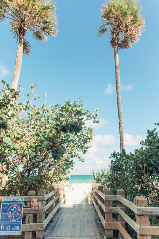 Tropical beach scene captured during a walk on Miami Beach