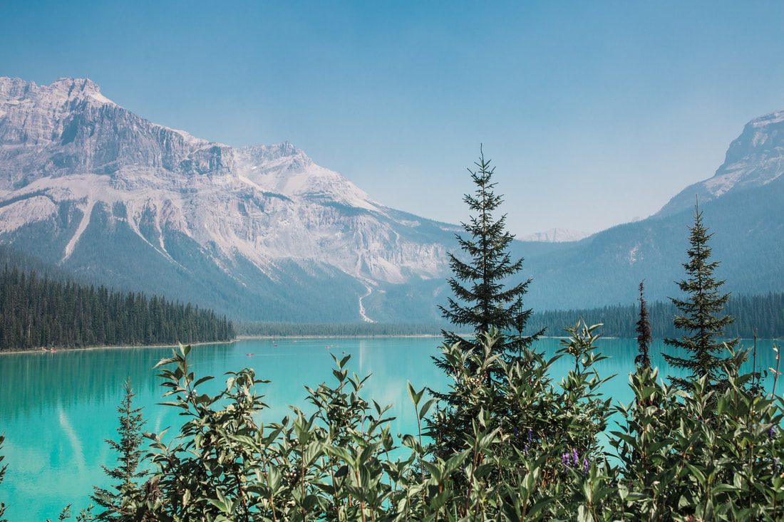 Mountain valley views from a scenic overlook in Banff National Park