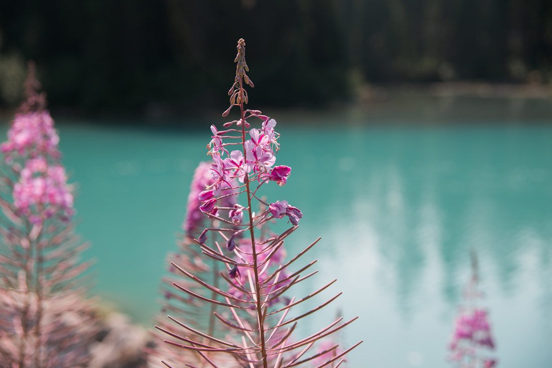 Turquoise alpine lake surrounded by mountains in Banff National Park, Canada