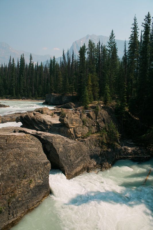 Mountain valley views from a scenic overlook in Banff National Park