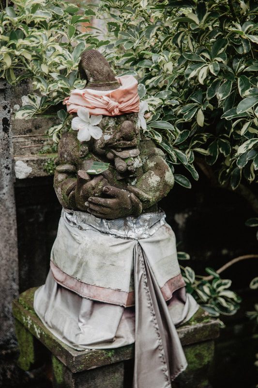 Terraced rice paddies near Ubud, Bali, another frame from the trip