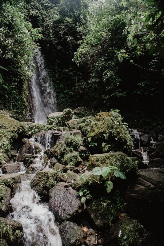 Traditional coffee plantation in Bali showing the roasting process, another frame from the trip