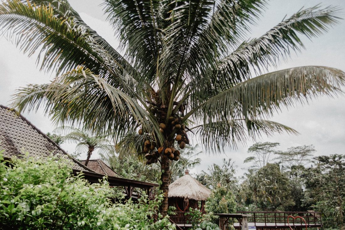 Sanur beachfront in the quieter part of Bali, another frame from the trip