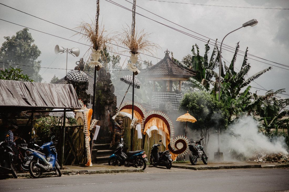 Rice terrace path winding through Ubud, another frame from the trip
